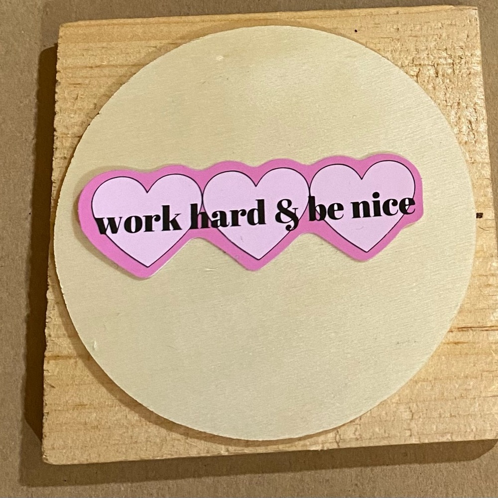 🌈20/$12🌈 Work Hard & Be Nice Sticker